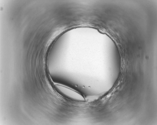 X0000088610055200706221441