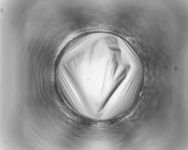 X0000088610056200706221441