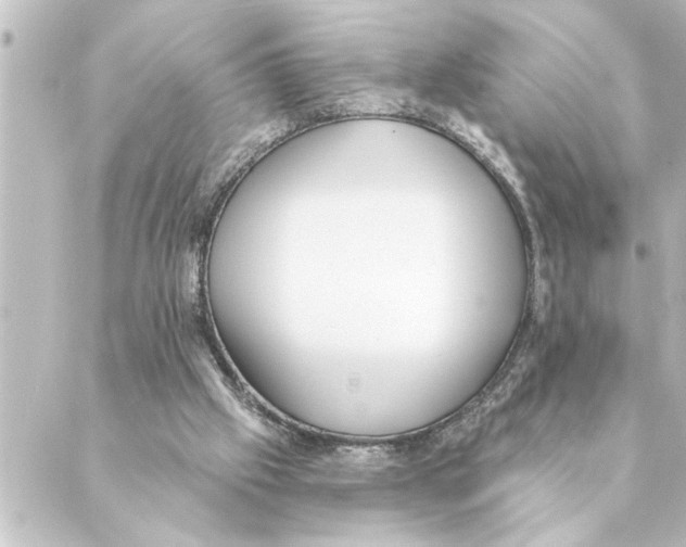 X0000088610057200706221441