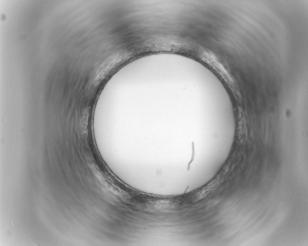 X0000088610058200706221441