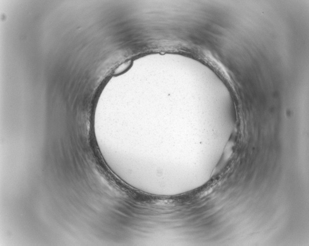 X0000088610059200706221441