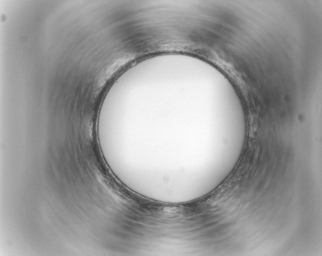 X0000088610060200706221441