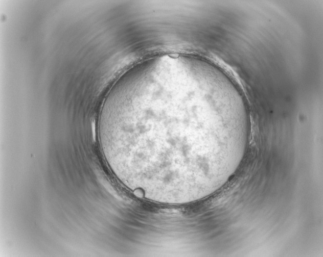 X0000088610061200706221441