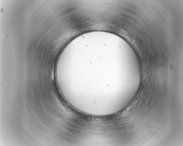 X0000088610062200706221441