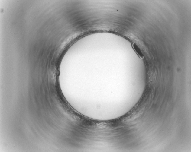 X0000088610064200706221441