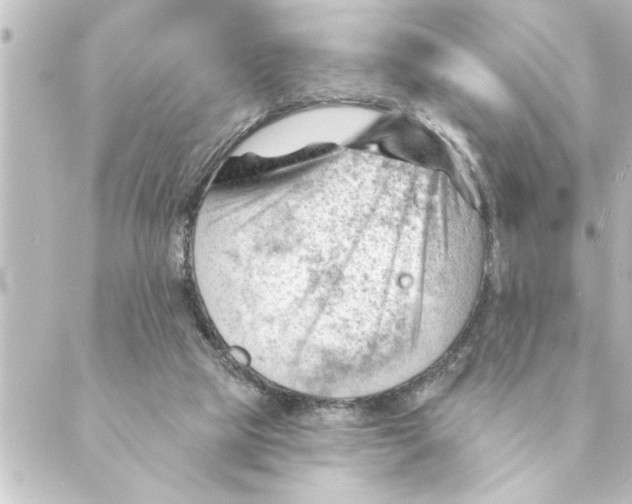 X0000088610065200706221441