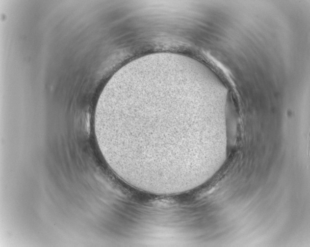 X0000088610067200706221441