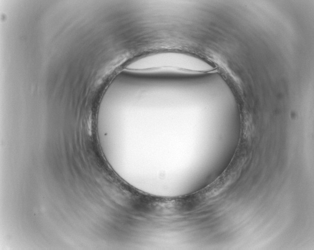 X0000088610068200706221441