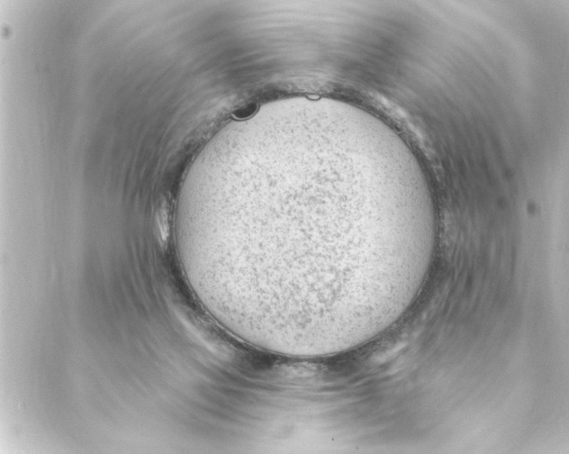 X0000088610069200706221441