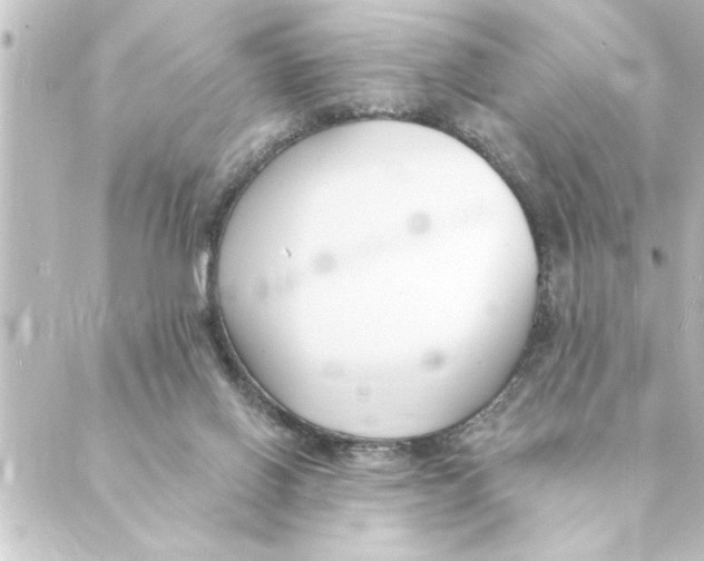 X0000088610070200706221441