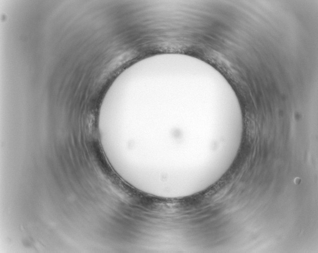 X0000088610071200706221441