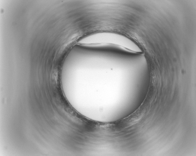 X0000088610072200706221441