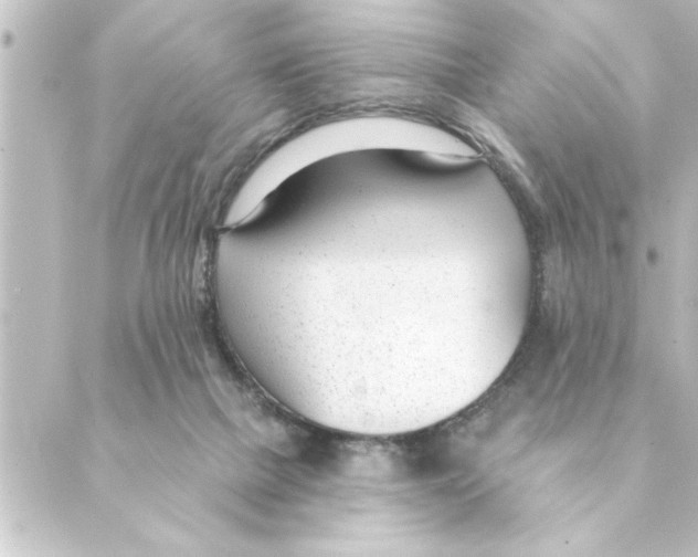 X0000088610073200706221441