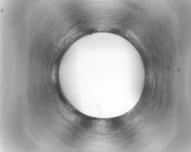 X0000088610074200706221441