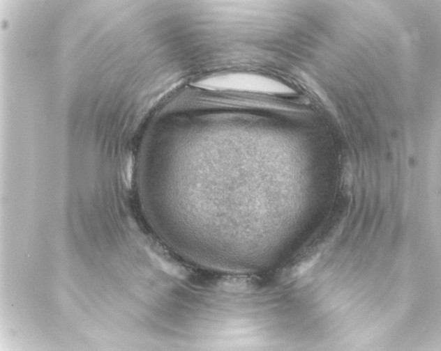 X0000088610076200706221441