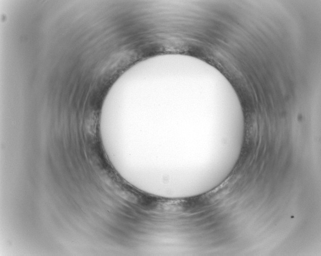 X0000088610078200706221441