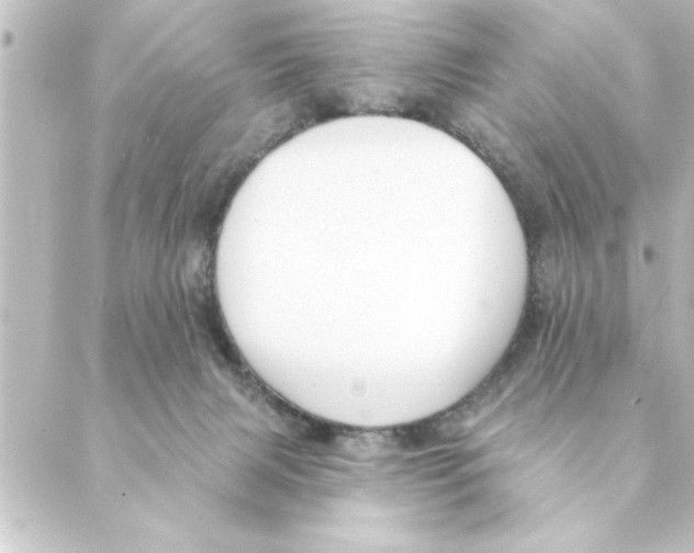 X0000088610079200706221441