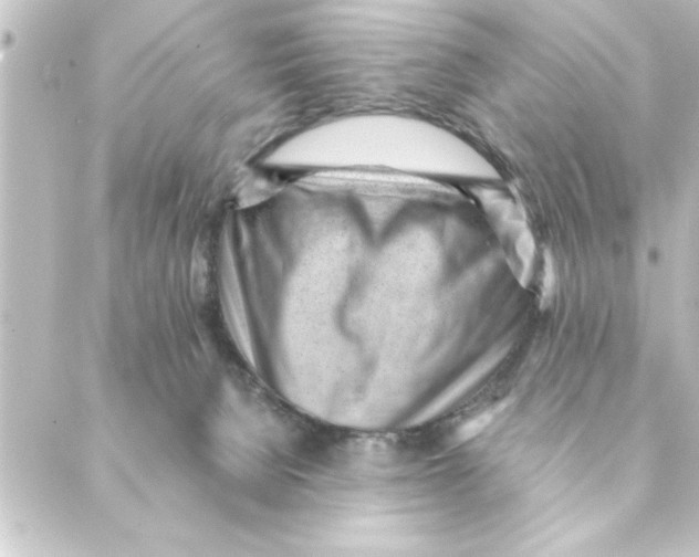 X0000088610080200706221441