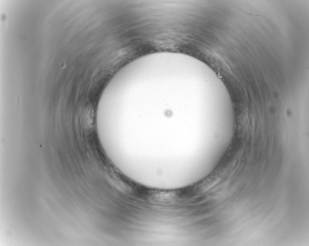 X0000088610081200706221441