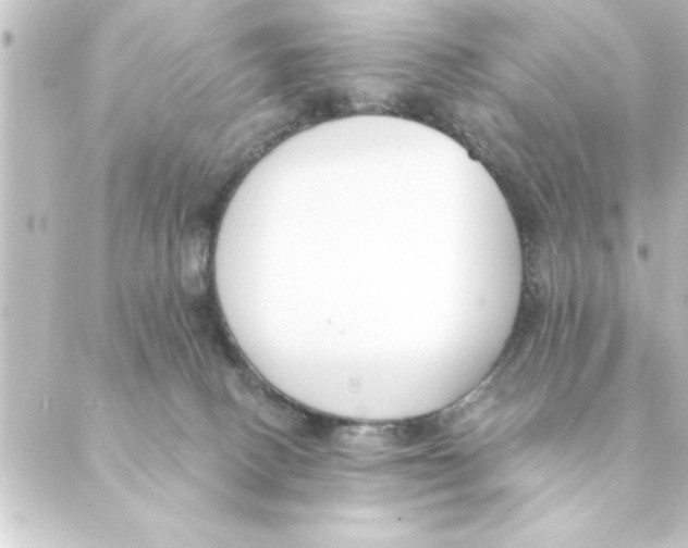 X0000088610082200706221441