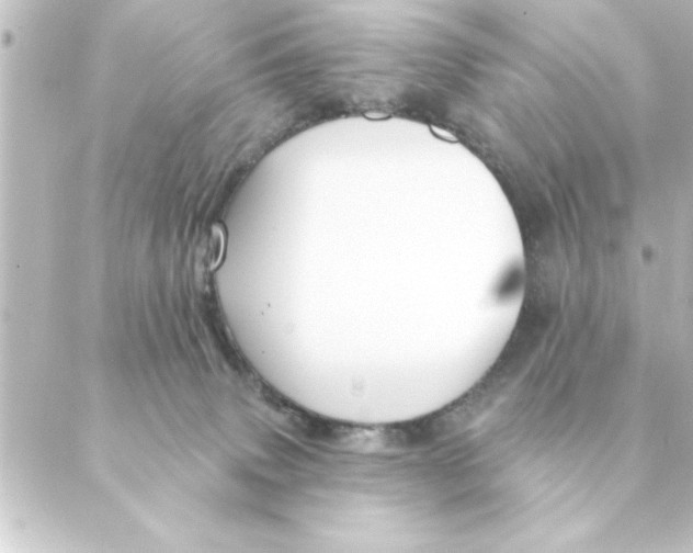 X0000088610083200706221441