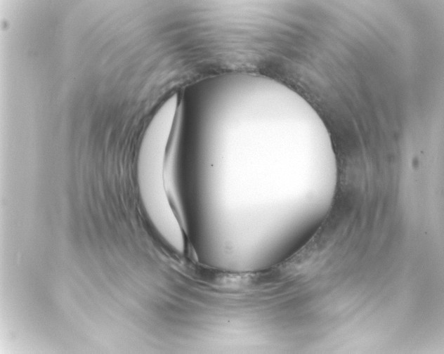 X0000088610084200706221441