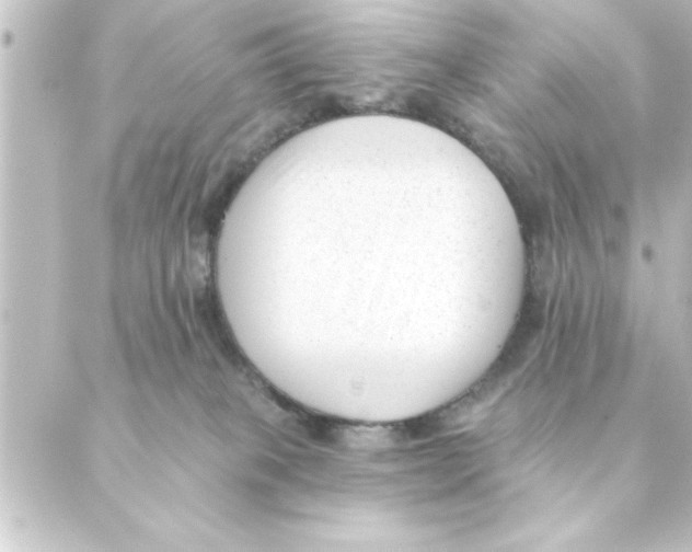 X0000088610085200706221441