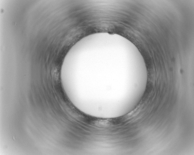 X0000088610086200706221441