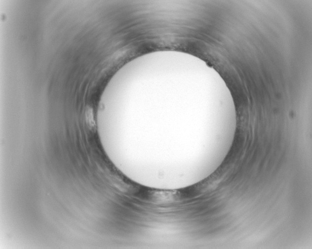 X0000088610089200706221441