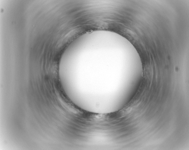 X0000088610092200706221441