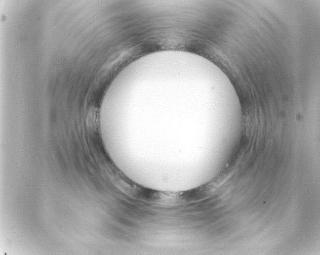 X0000088610093200706221441