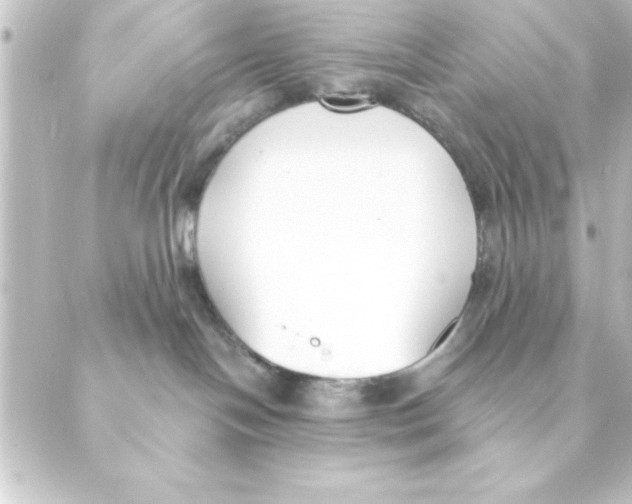 X0000088610094200706221441