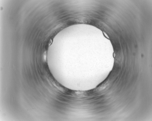 X0000088610095200706221441