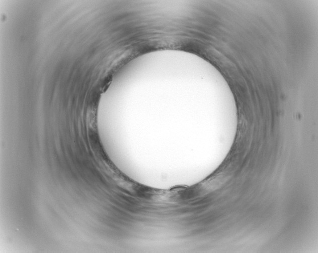 X0000088610096200706221441