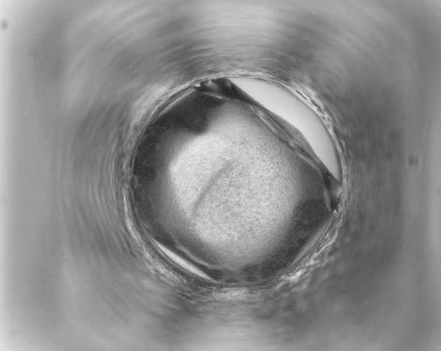 X0000088610097200706221440