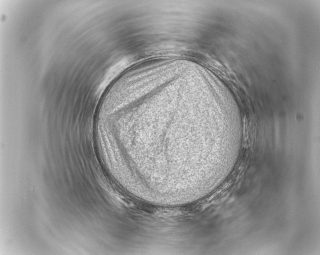 X0000088610099200706221440