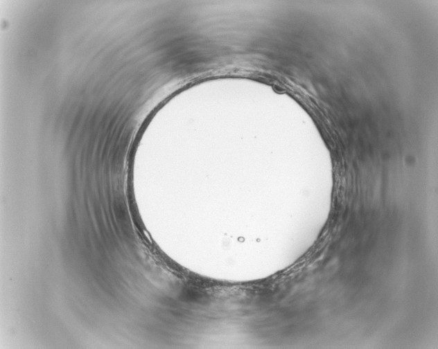 X0000088610100200706221440