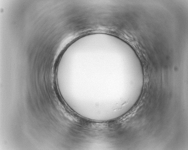 X0000088610102200706221440