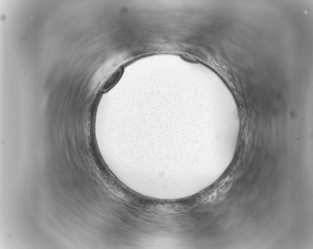 X0000088610103200706221440