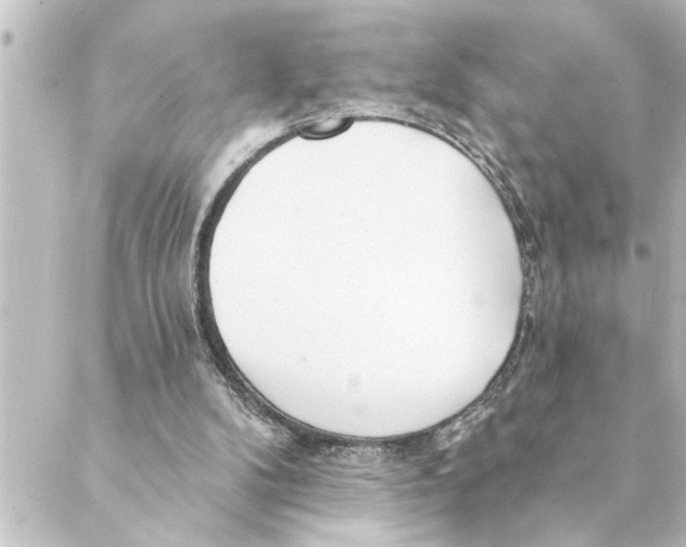 X0000088610104200706221440