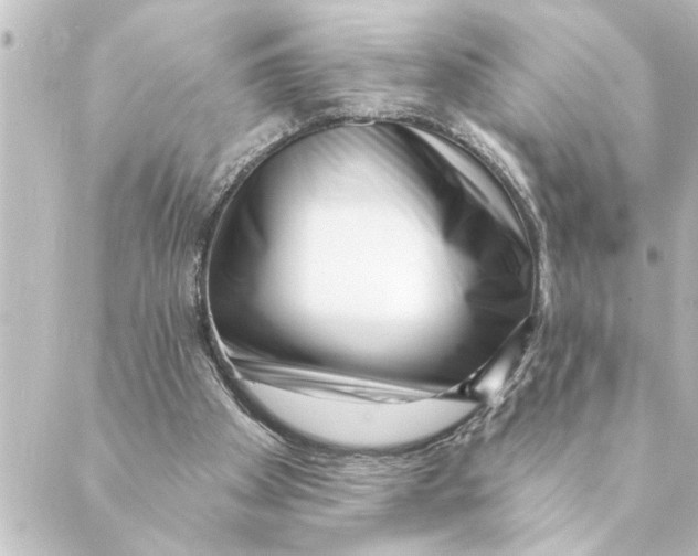 X0000088610105200706221440