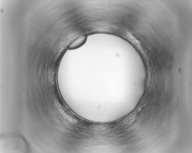 X0000088610106200706221440