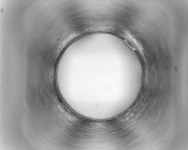 X0000088610107200706221440