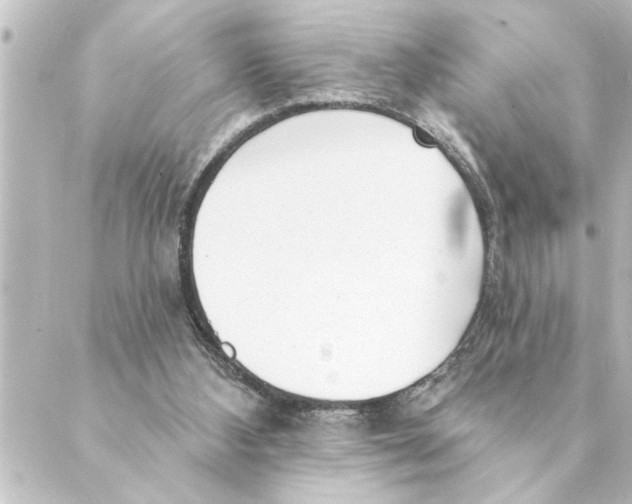 X0000088610108200706221440