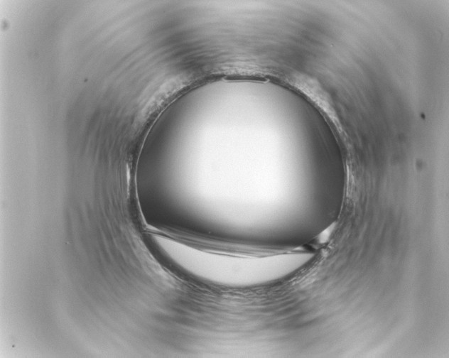 X0000088610109200706221440