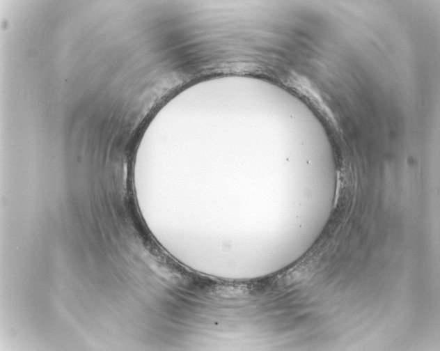 X0000088610110200706221440