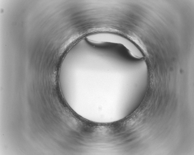 X0000088610111200706221440