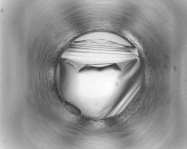 X0000088610113200706221440