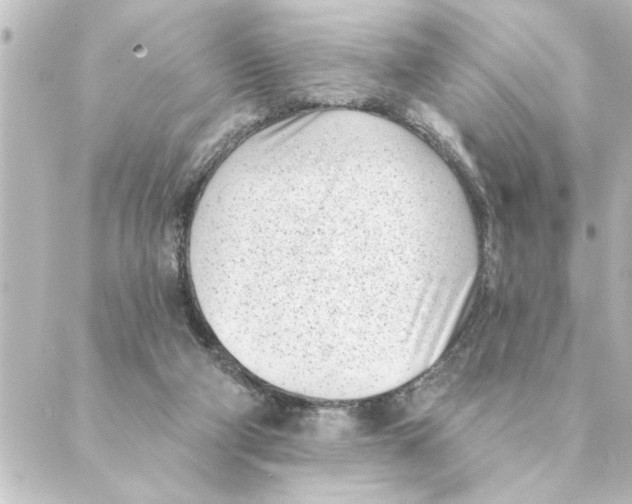 X0000088610114200706221440