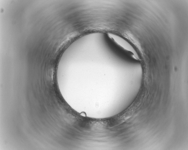 X0000088610115200706221440